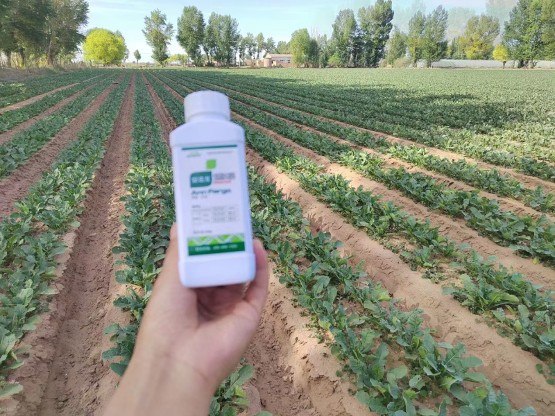 除草劑藥害怎么辦？安法戈來解決！