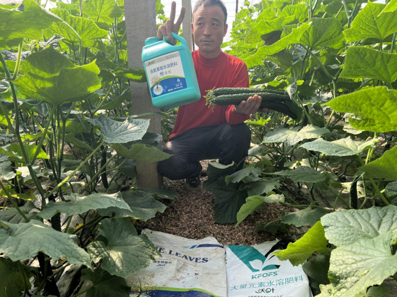 種植蔬菜用什么肥料最好？兩個解決，兩個方案