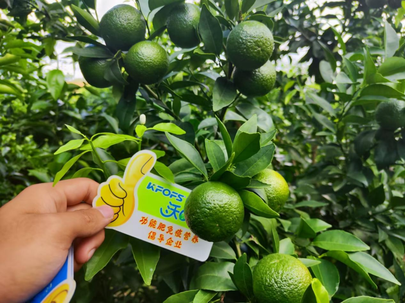 硼肥對(duì)果樹的重要性你了解嗎？