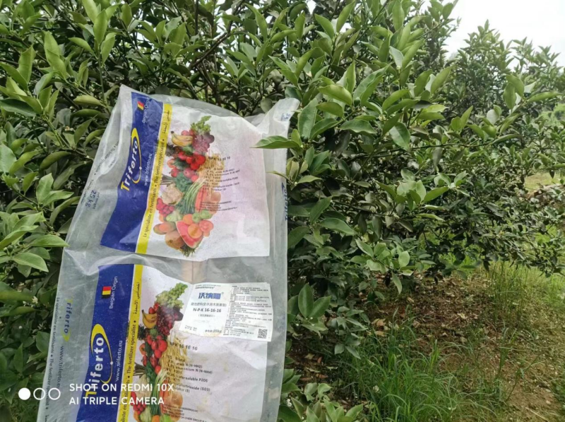 水溶肥效果好不好？榮大姐告訴你
