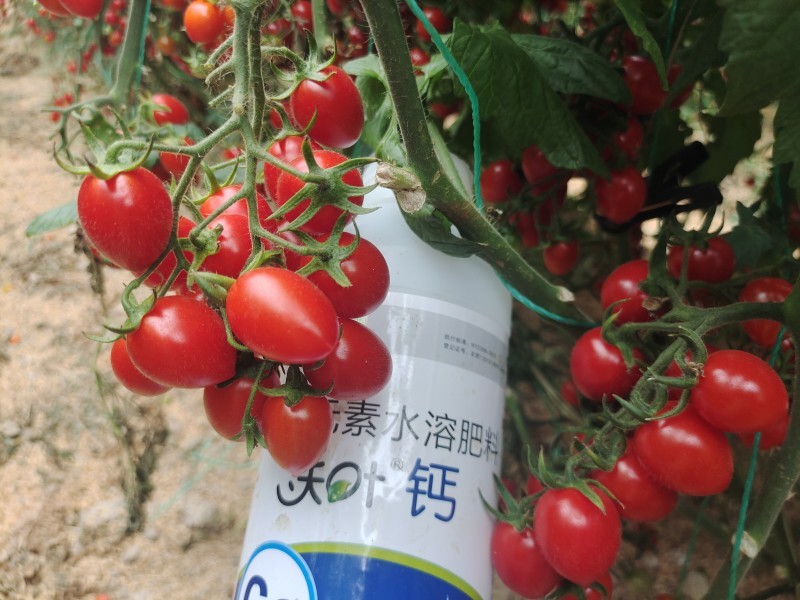 水溶肥挑選技巧掌握了，種啥都中