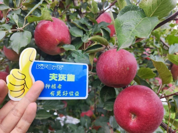 微生物菌劑，作物增產(chǎn)的“敲門磚”