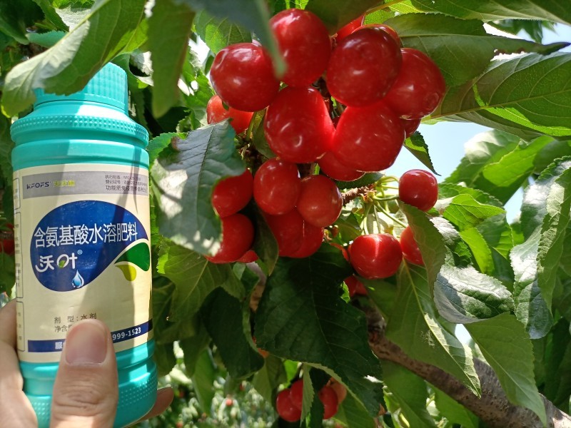 葉面肥什么時(shí)候用，你知道嗎？