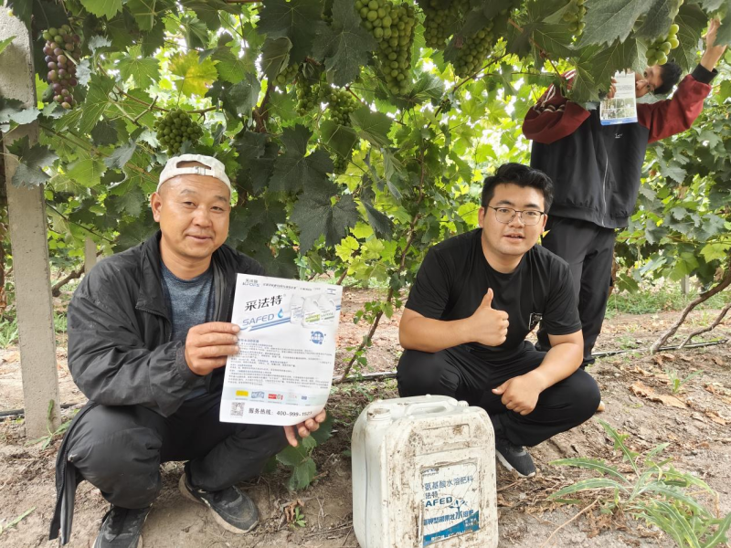氨基酸肥料的作用你了解多少？