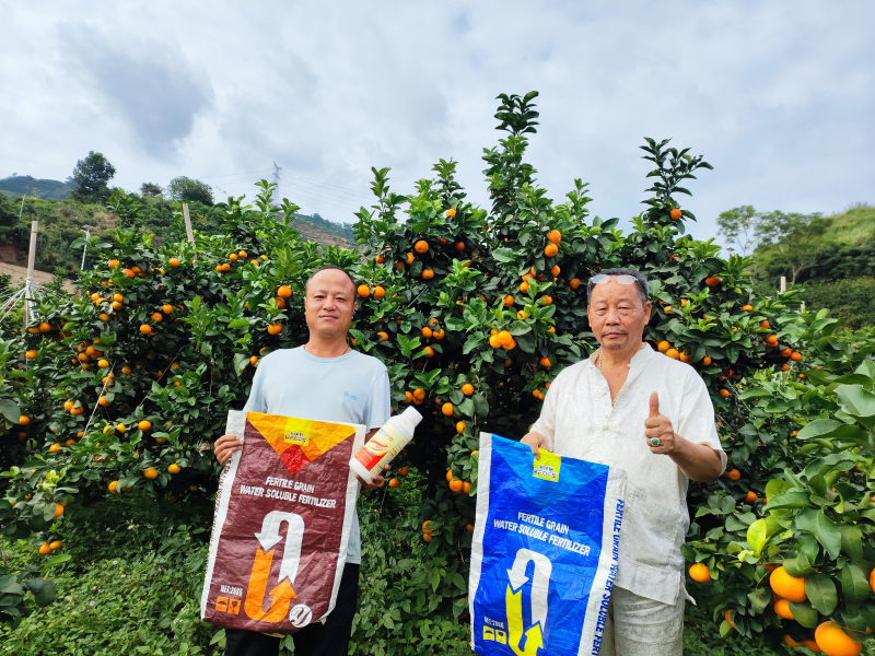 土壤板結(jié)-柑橘用沃葉水溶肥用戶見(jiàn)證.png