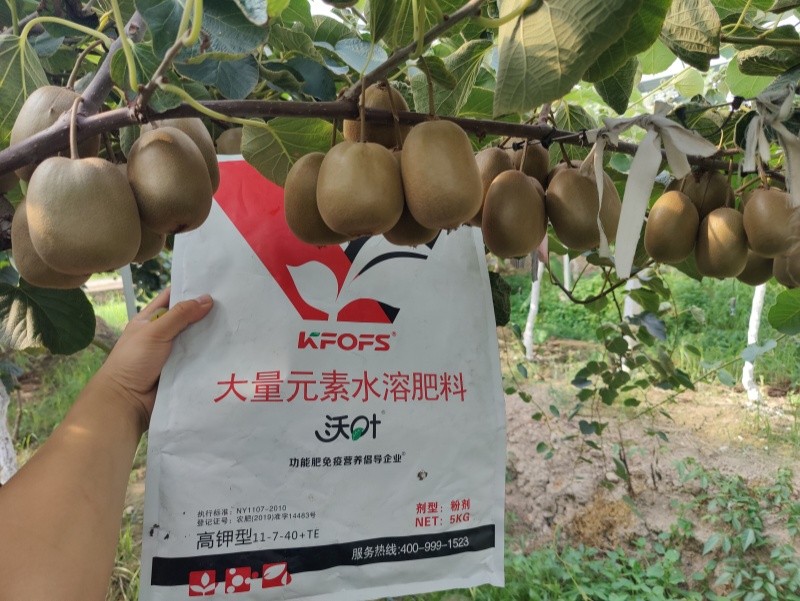 獼猴桃施肥用什么肥料？