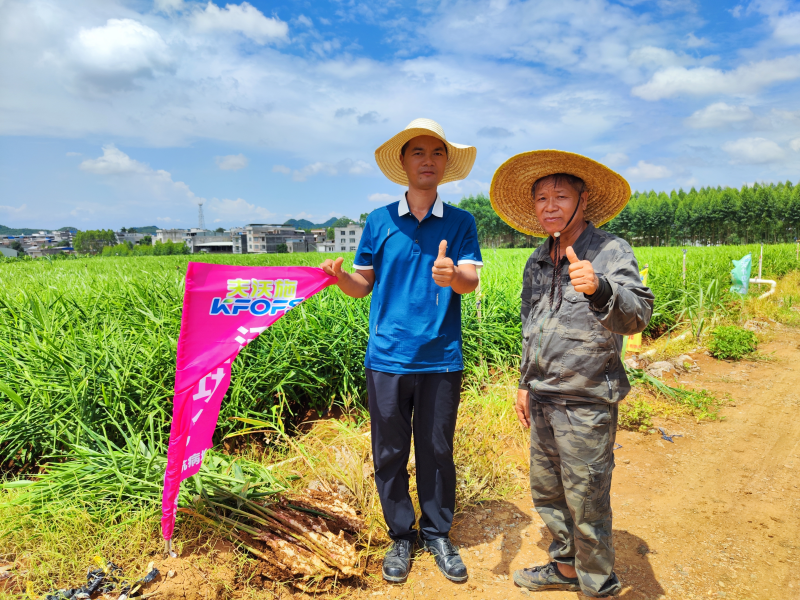 生根劑不能錯過的3個時期，你知道嗎？