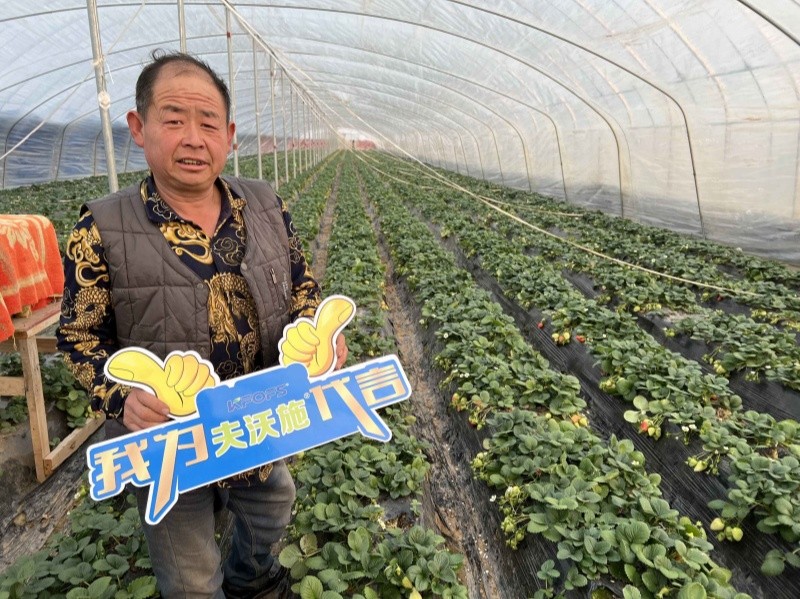大量元素水溶肥—用戶見(jiàn)證1.jpg
