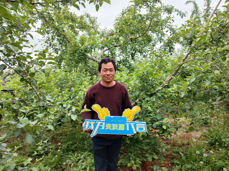 大量元素水溶肥怎么用效果好？