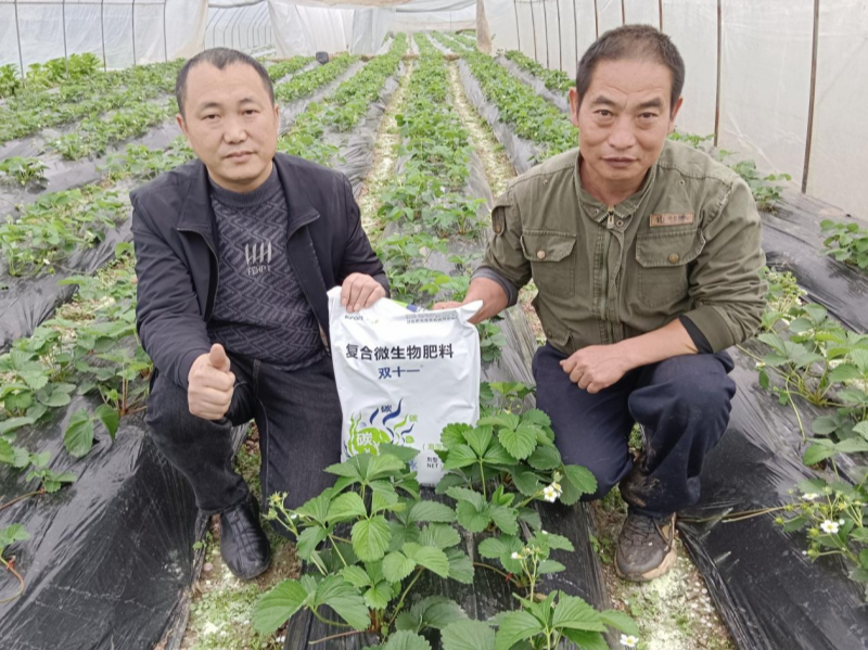 土壤板結(jié)的原因及解決辦法，總結(jié)6點