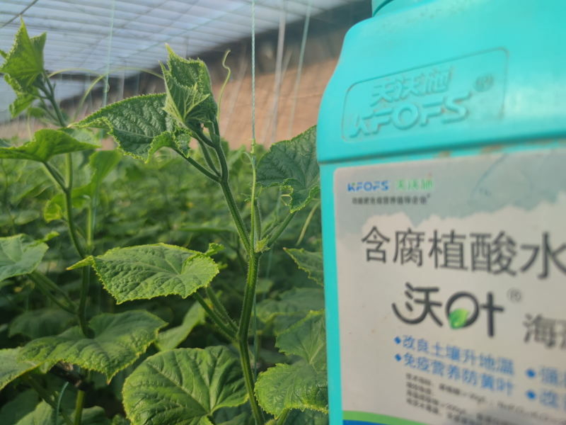 魚(yú)蛋白水溶肥什么時(shí)候用？
