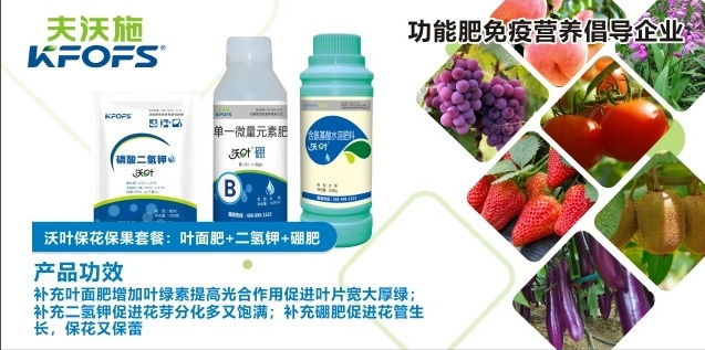 沃葉?；ū９~面肥套餐一.png