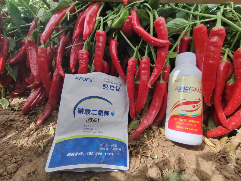 磷酸二氫鉀是葉面肥嗎？