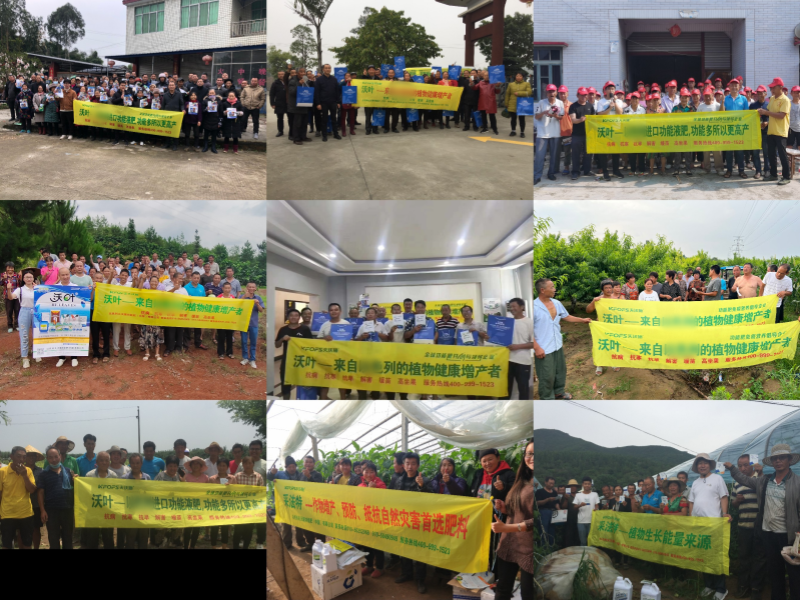 冬儲—夫沃施線下會議1.png